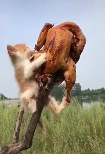 Funny