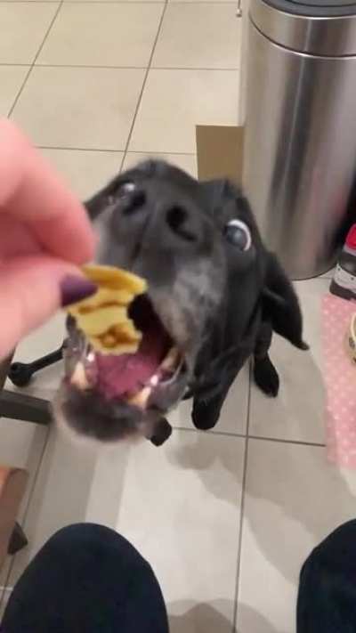 Pancakes!