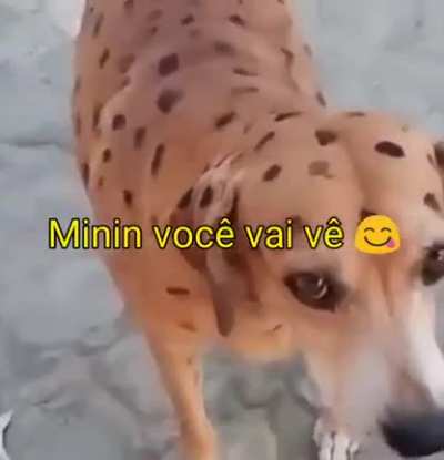 Au
