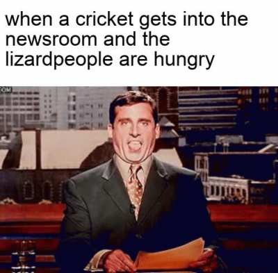 *happy lizard noises*