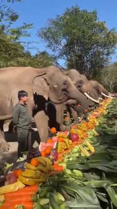 🔥 Fruit Feast