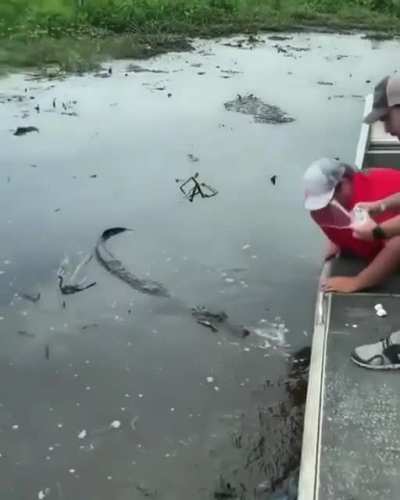 Normal day in Florida