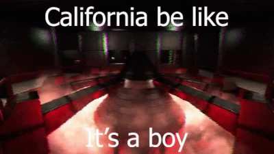 Gender reveal party