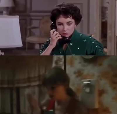 Elizabeth Taylor/TS music video parallels
