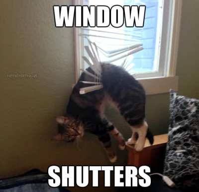 The description of the subreddit calls it r/thekittyempire