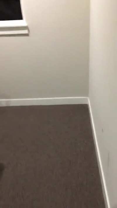 What&rsquo;s at the bottom of the stairs?