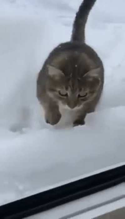 Maybe Maybe Maybe