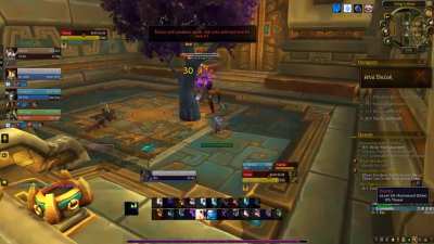 level 10 player with a weird tree pet one-shotting the entire instance