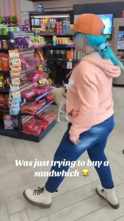 Let me steal or my dog will bite you! 😂