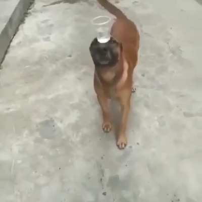 Equil&iacute;brio apenas