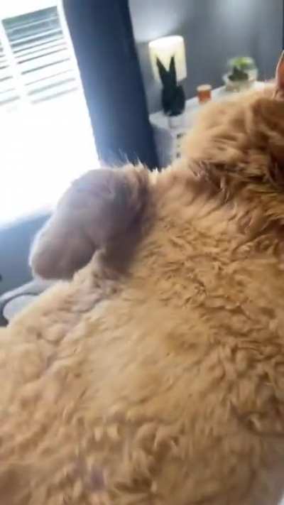 He is a big boy