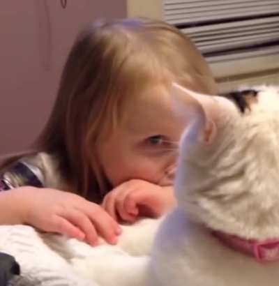 Cat slap