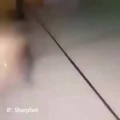 evolution moment