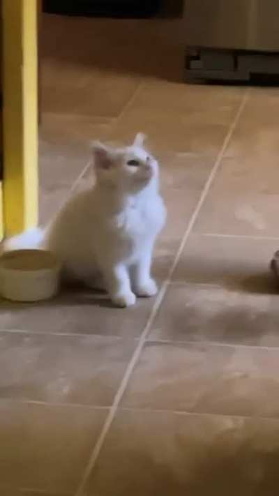 He&rsquo;s hungry!