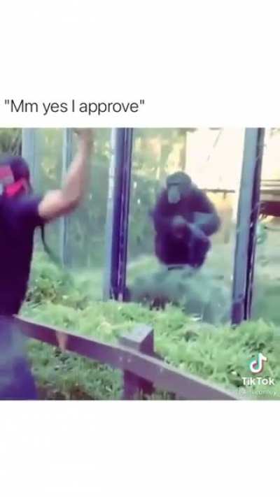 Something I would do when I visit the zoo 😂