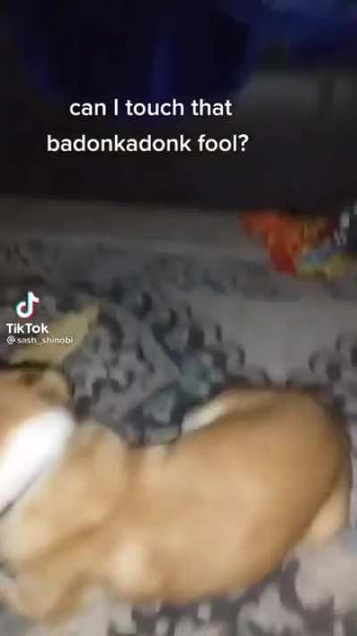 Can I touch that badonkadonk fool 😂😂😂