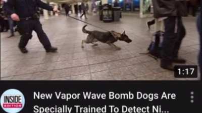 Wait what do they detect?