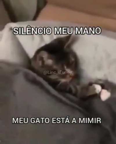 Pfv sil&ecirc;ncio