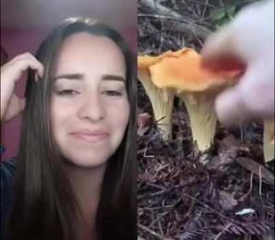 Кажется знакомым :)