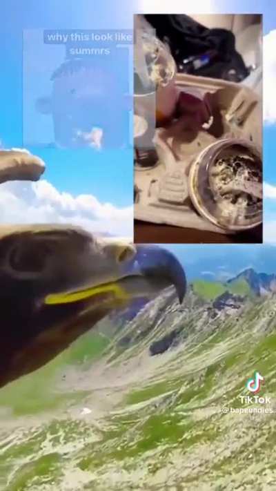 Great tik tok