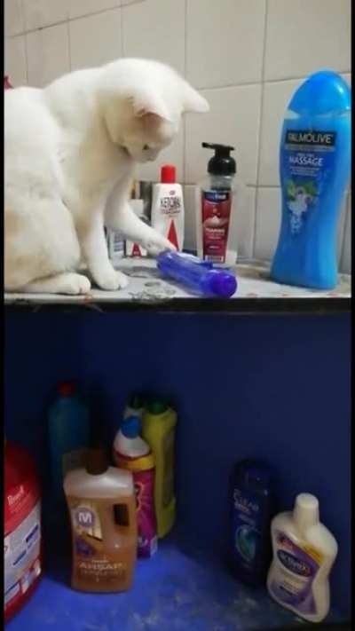 stop it! you little sly creature!