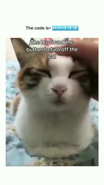 Silly