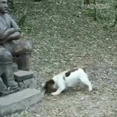 Ну чо застыл то!