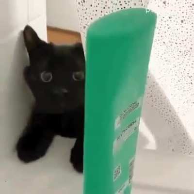 Absolute Menace