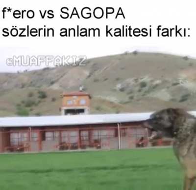 Pop&uuml;ler k&uuml;lt&uuml;r k&ouml;lelerinden lin&ccedil; yiyecegimi biliyorum ama yine paylaşayım dedim