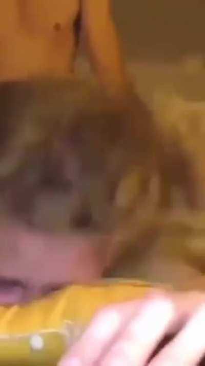 Girl gets pounded from behind