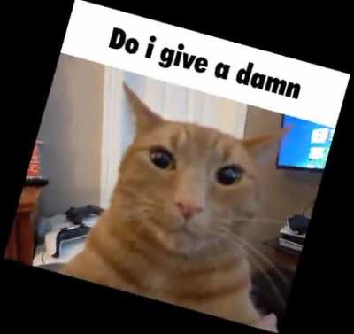 Do i