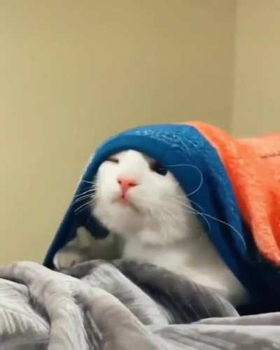 When your alarm didn&rsquo;t ring &amp;amp; you realize you overslept