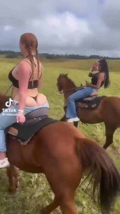 Jolene on her way to take Dolly Parton&rsquo;s man