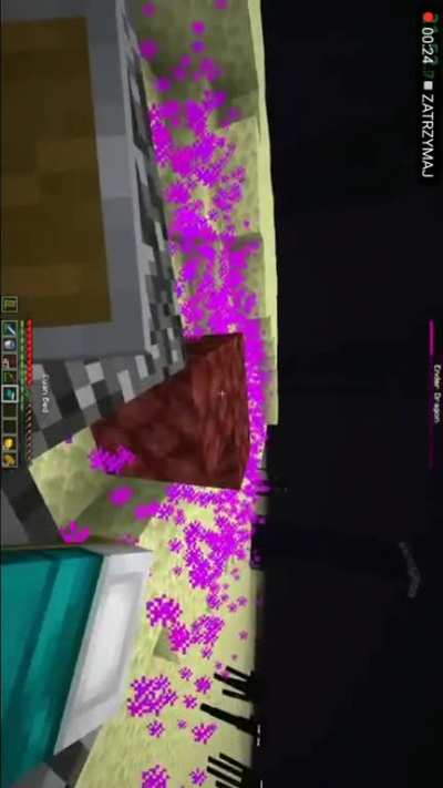 Dream beats the Minecraft speedrun world record