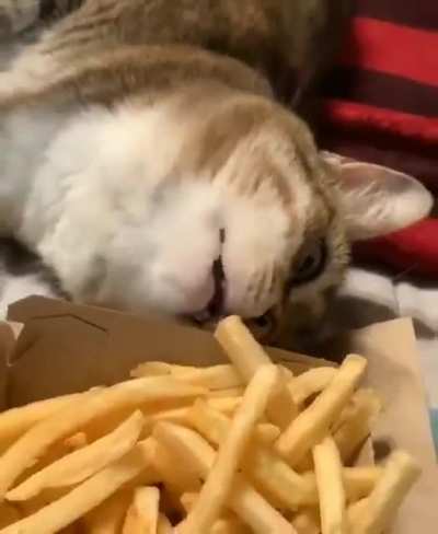 I was just checking them.