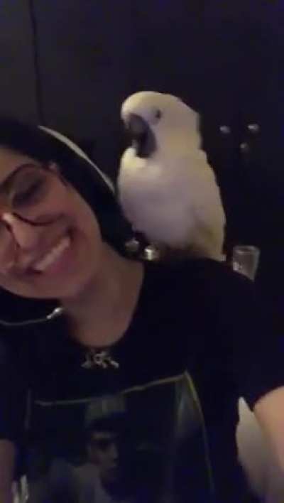 Casper hates my headphones because they take my attention away from him (: