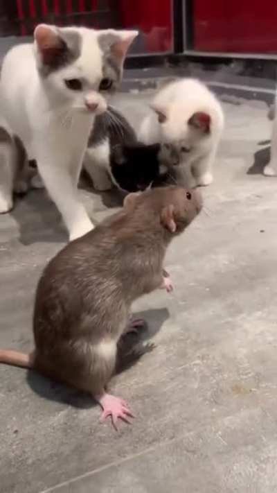 Wrong neighborhood