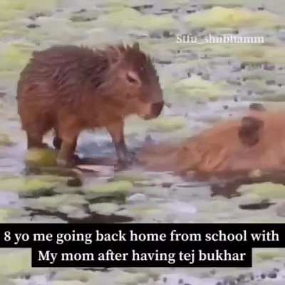 🤠
