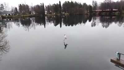Meanwhile in Finland