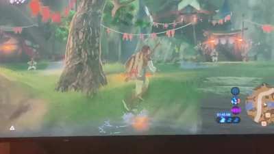I present to you&hellip; Link and the Magic Chicken!