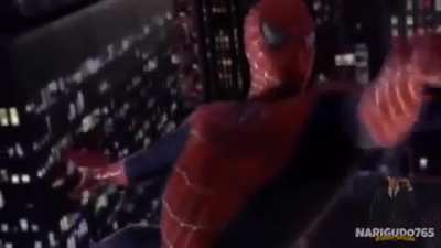 F homen aranha