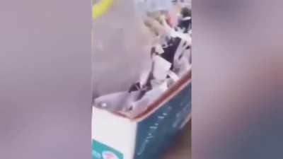 Rat saving its younglings from the Yangtze river flood