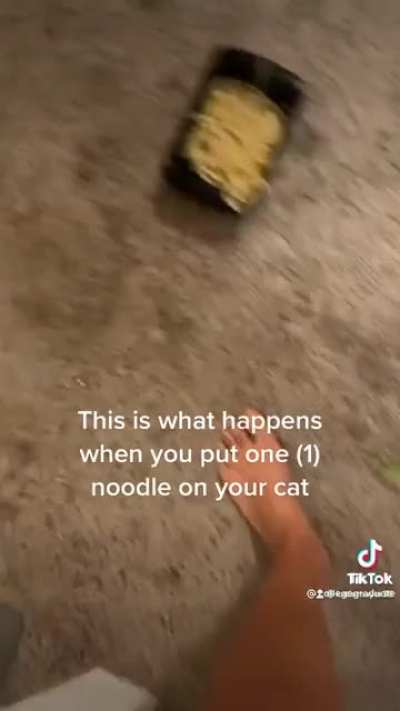 Oh no&hellip; our noodle&hellip; is broken