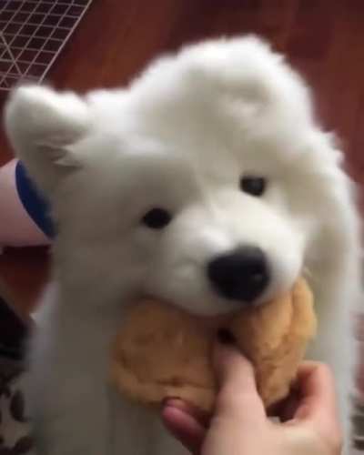 Floppy floof