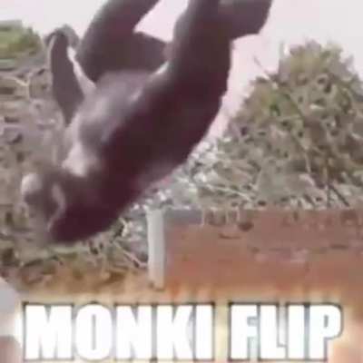 muca flip