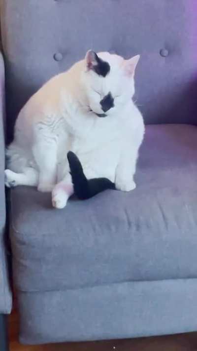 So sleepy&hellip;..