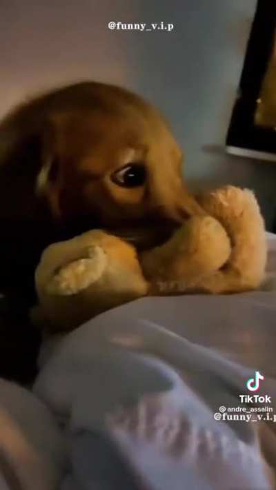 Eu vendo filme de terror