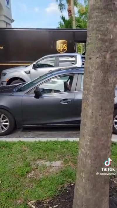 UPS driver shames owner that left dog in hot car.