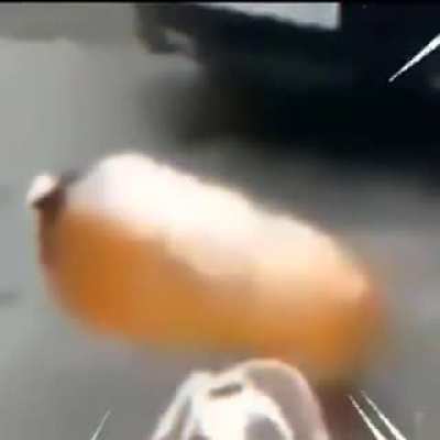 Bites da dusto