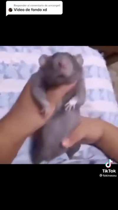 Video de fondo xd